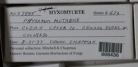 Image Associated With the Occurence